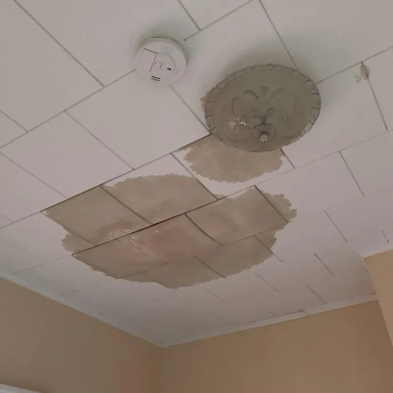 Ceiling Water Damage Repair in Hayti, SD