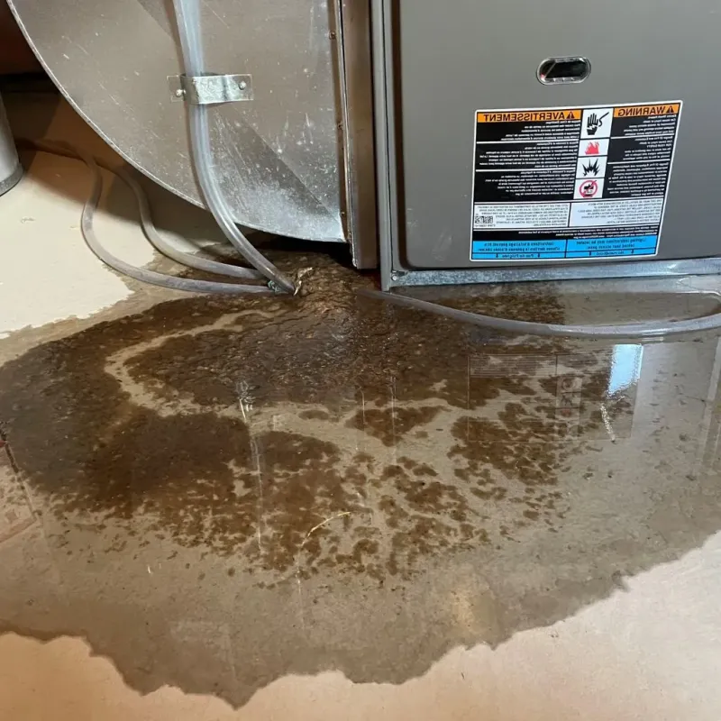 Pipe Burst and Leak Restoration in Hayti, SD